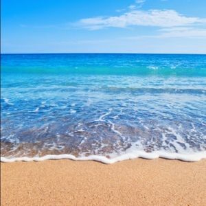 Meet your Posher, Jazmin